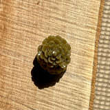 Mini Pinecones