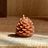 Mini Pinecones