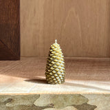 Small Pinecones