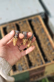 The Authentic Honey Co-Beekeeping Services-Virgin Queen Cells