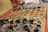 The Authentic Honey Co-Beekeeping Services-Virgin Queen Cells