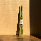 Twist Candles |Multiple Colours