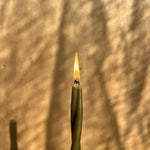 Twist Candles |Multiple Colours