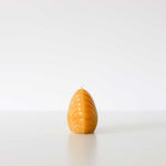 Scallop Shell Beeswax Candles
