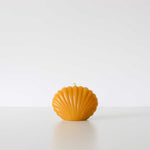 Scallop Shell Beeswax Candles